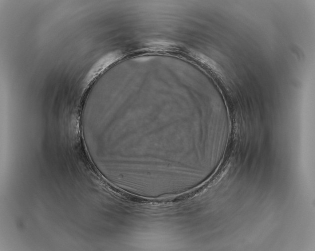 X0000112771362200909101542