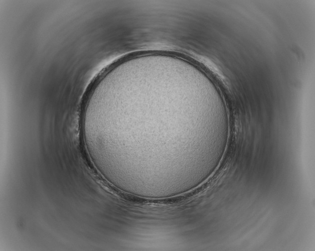 X0000112771364200909101542