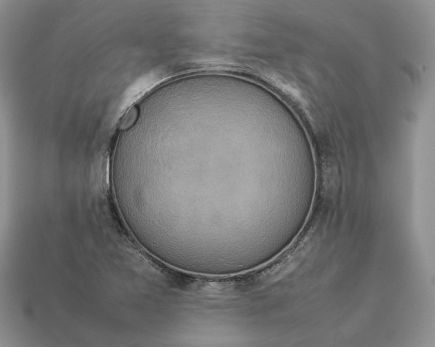 X0000112771365200909101542