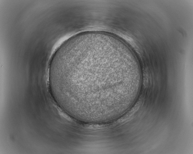 X0000112771366200909101542