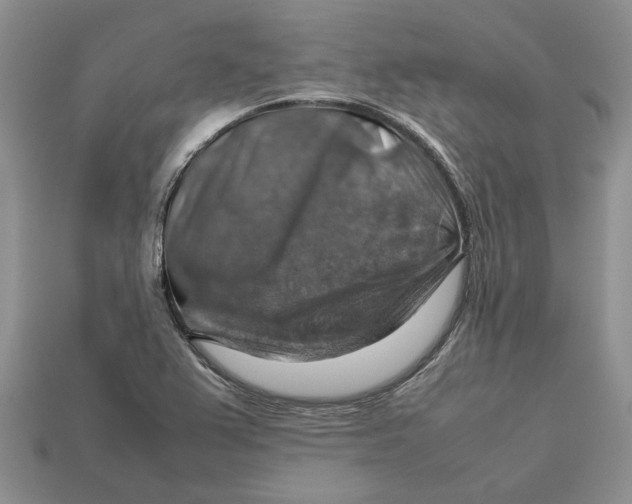 X0000112771367200909101542