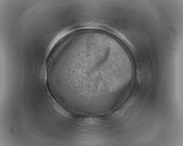 X0000112771368200909101542