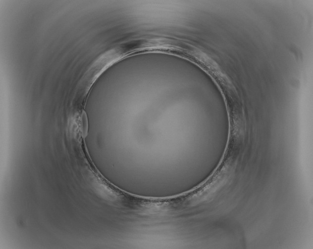 X0000112771369200909101542