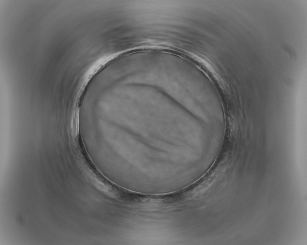 X0000112771371200909101542