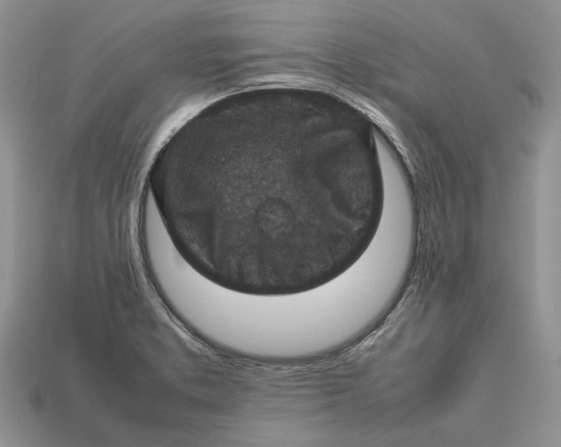 X0000112771373200909101542