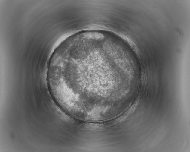 X0000112771374200909101542