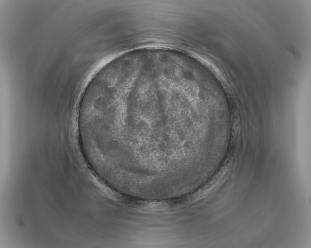 X0000112771375200909101542