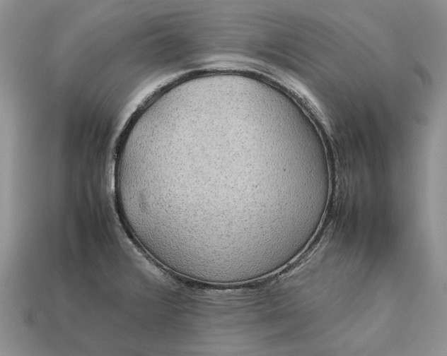 X0000112771376200909101542