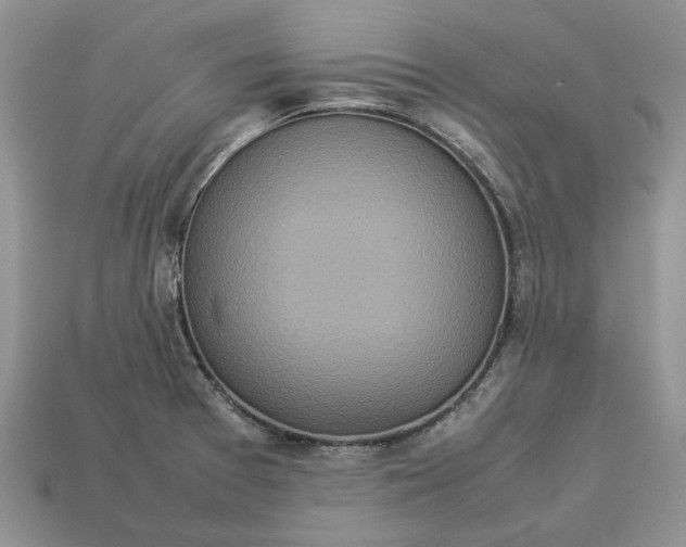 X0000112771377200909101542