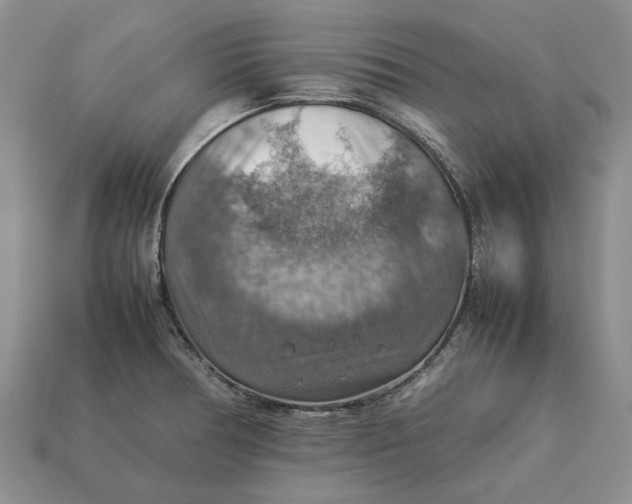 X0000112771378200909101542