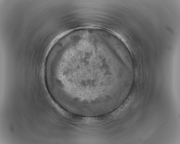 X0000112771379200909101542