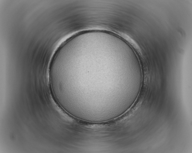 X0000112771380200909101542