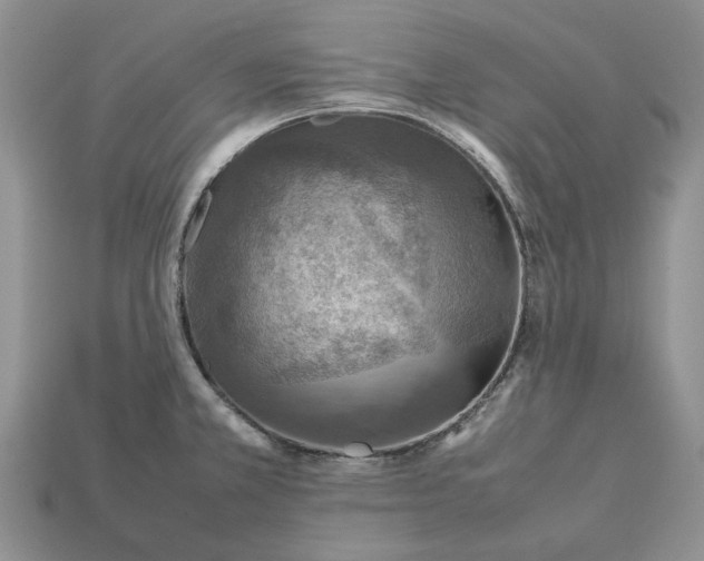 X0000112771381200909101542