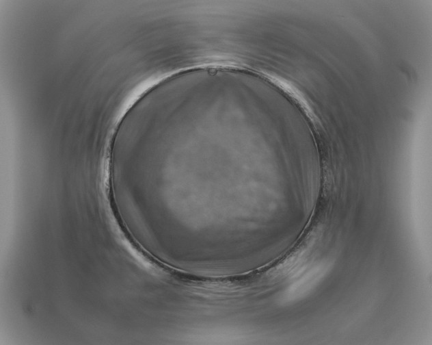 X0000112771383200909101542