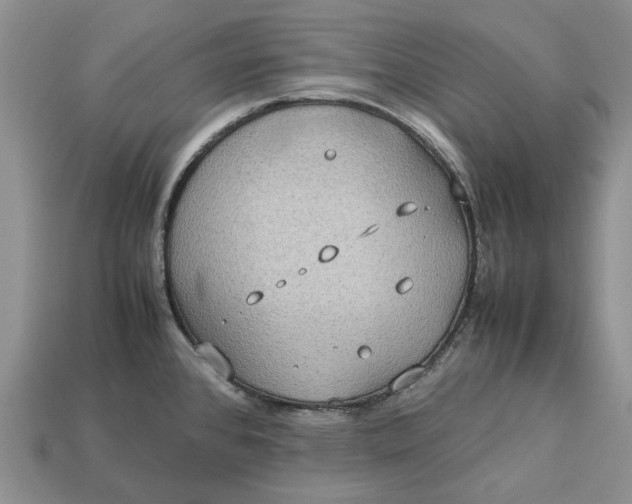 X0000112771384200909101542