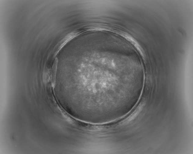 X0000112771385200909101542