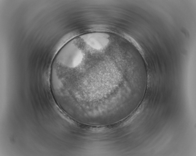 X0000112771386200909101542