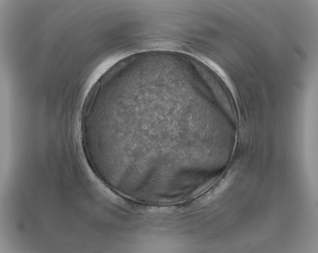 X0000112771389200909101542