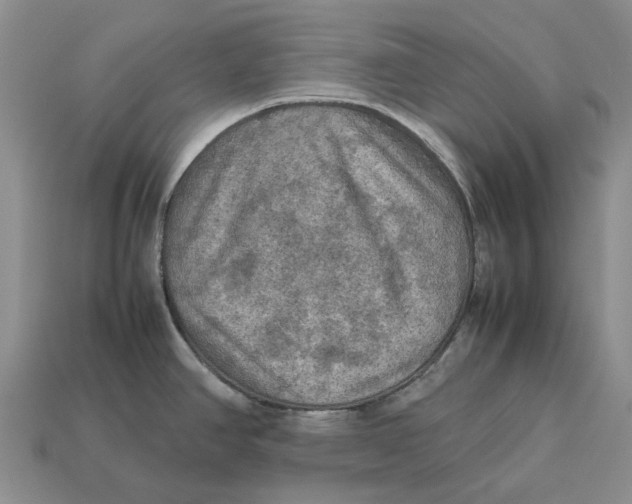 X0000112771390200909101541