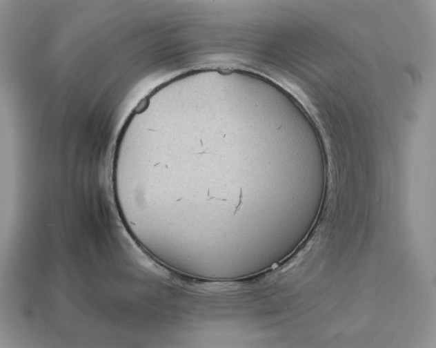 X0000112771392200909101541