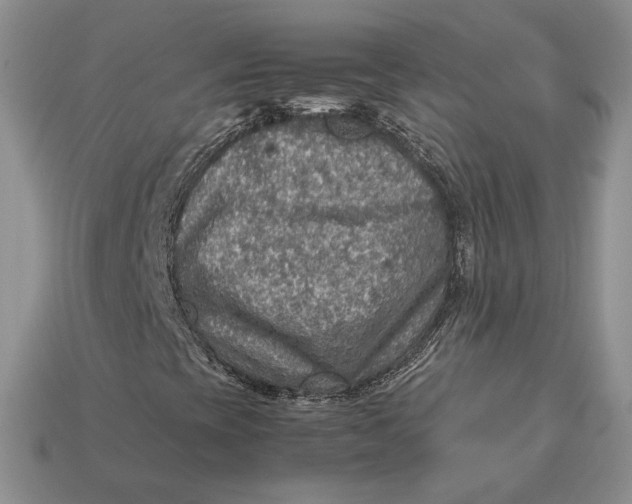 X0000112771393200909101541