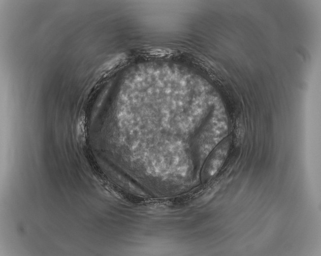 X0000112771394200909101541