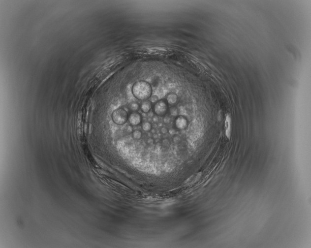 X0000112771395200909101541