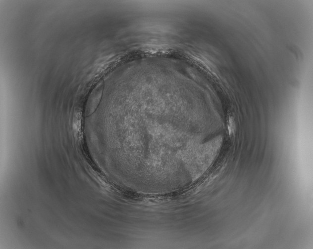 X0000112771396200909101541