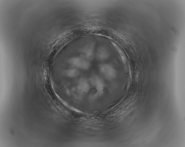 X0000112771397200909101541