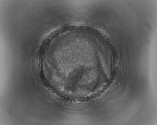 X0000112771398200909101541