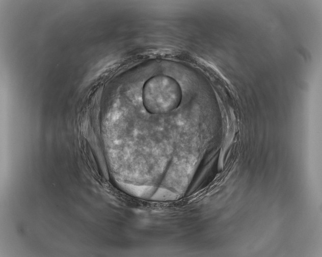 X0000112771399200909101541