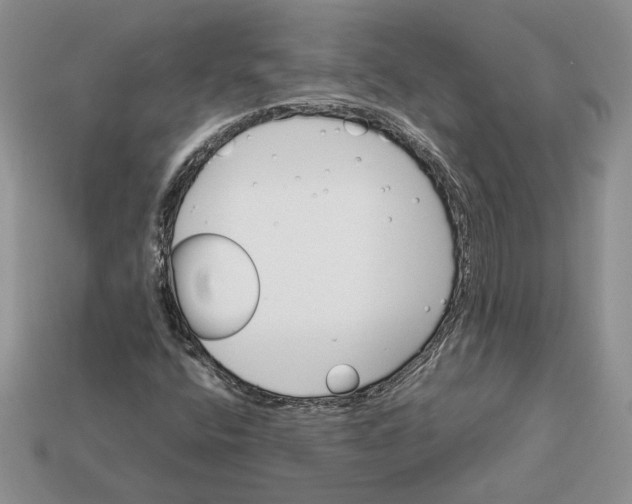 X0000112771400200909101541