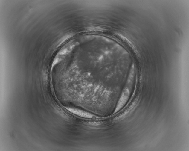 X0000112771401200909101541