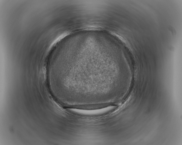 X0000112771402200909101541