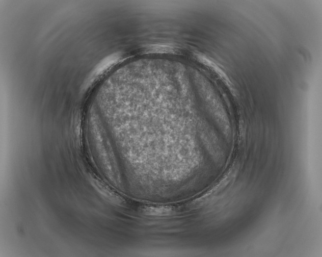 X0000112771403200909101541