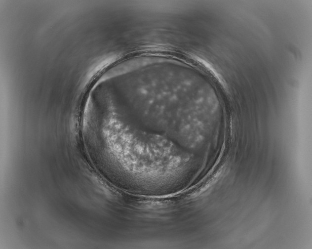 X0000112771405200909101541