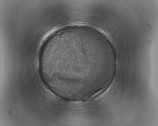 X0000112771406200909101541