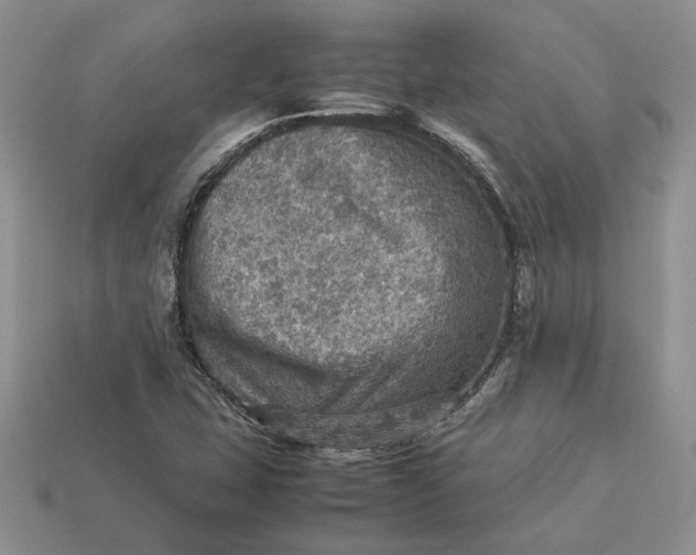 X0000112771407200909101541