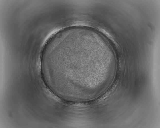 X0000112771408200909101541