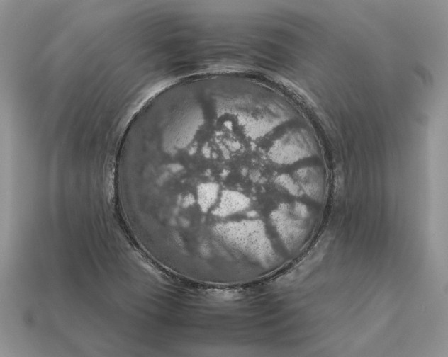 X0000112771409200909101541