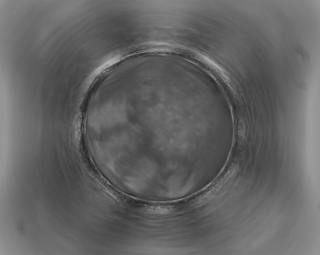 X0000112771411200909101541