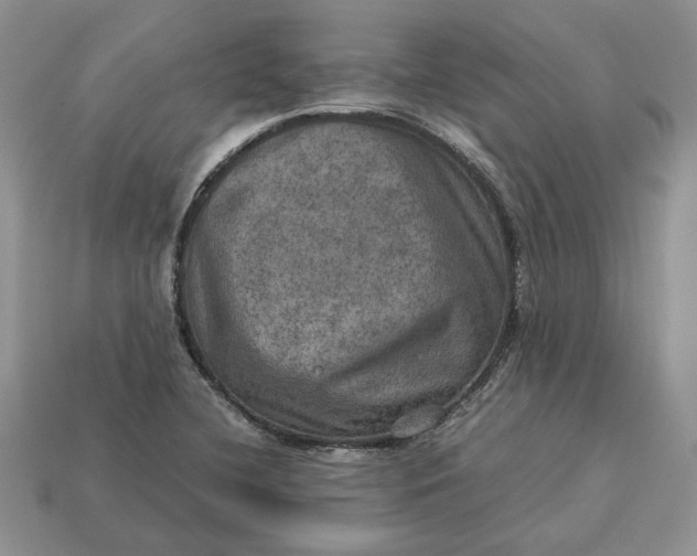 X0000112771412200909101541