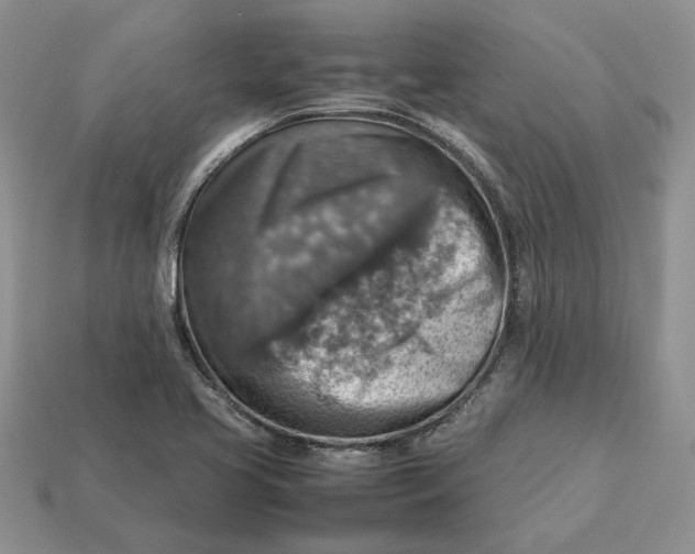 X0000112771413200909101541