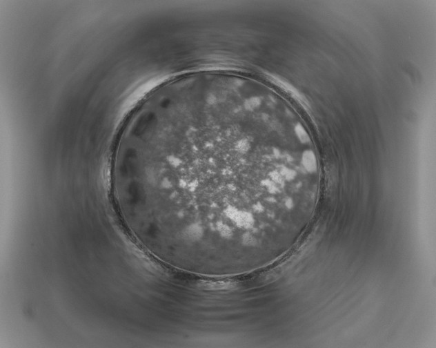 X0000112771415200909101541