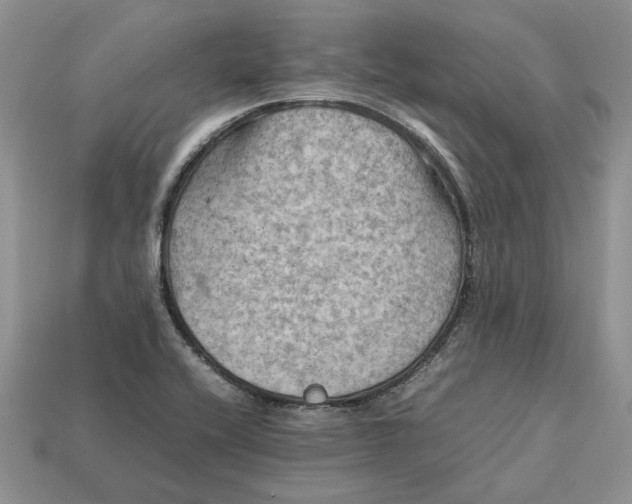 X0000112771416200909101541