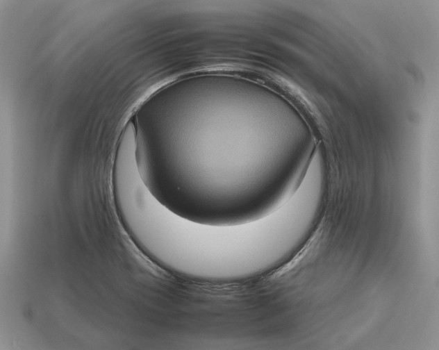 X0000112771417200909101541