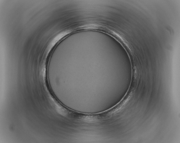 X0000112771418200909101541