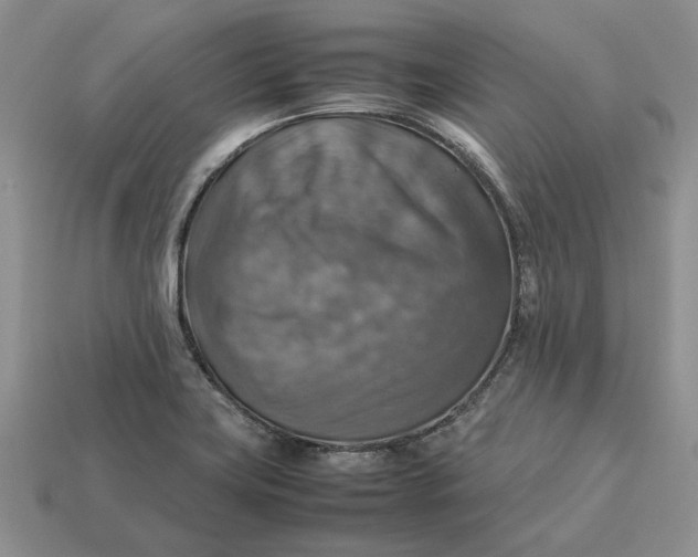 X0000112771419200909101541