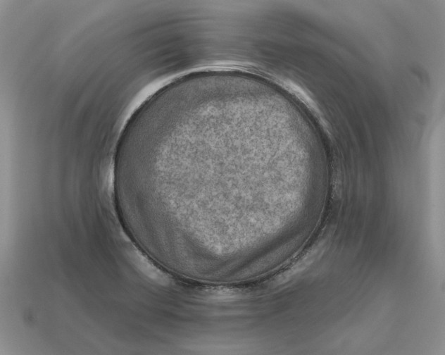 X0000112771420200909101541