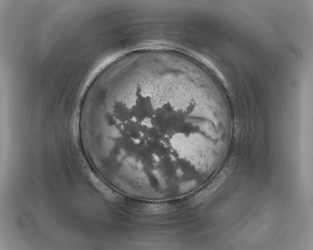 X0000112771421200909101541